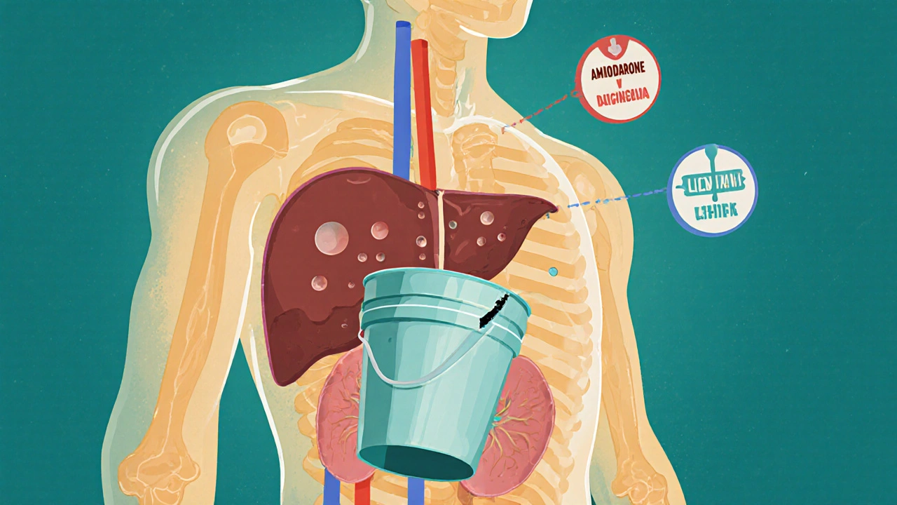 Cumulative Drug Toxicity: How Side Effects Build Up Over Time